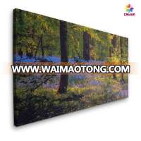 24''X36'' photo canvas printing, wood framed canvas, streched canvas